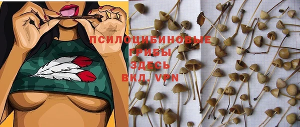 сатива Касимов