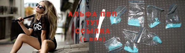 сатива Касимов