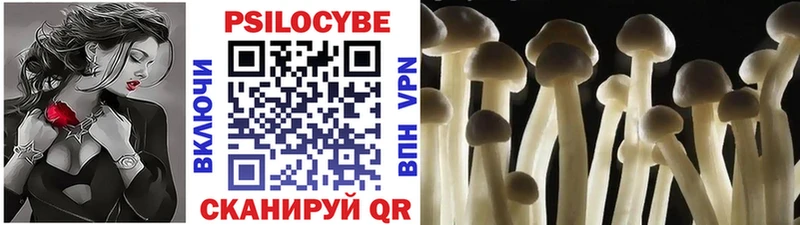 Псилоцибиновые грибы Psilocybe  Купить закладки  Пойковский 